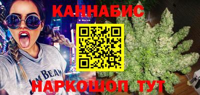 гашик Бузулук