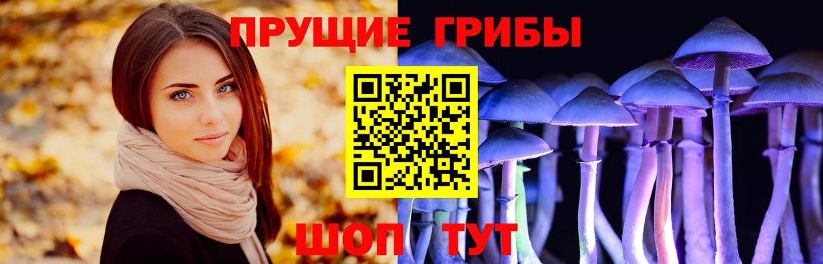 Галлюциногенные грибы Psilocybe Соликамск